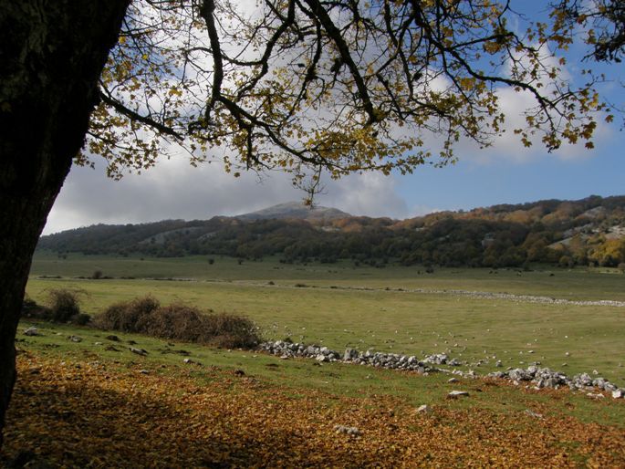 Il Parco Regionale dei Monti Lucretili