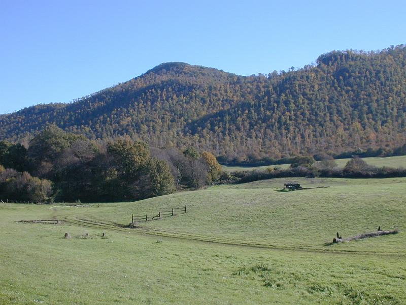 Parco dei Castelli Romani: il Sentiero dell’Artemisio