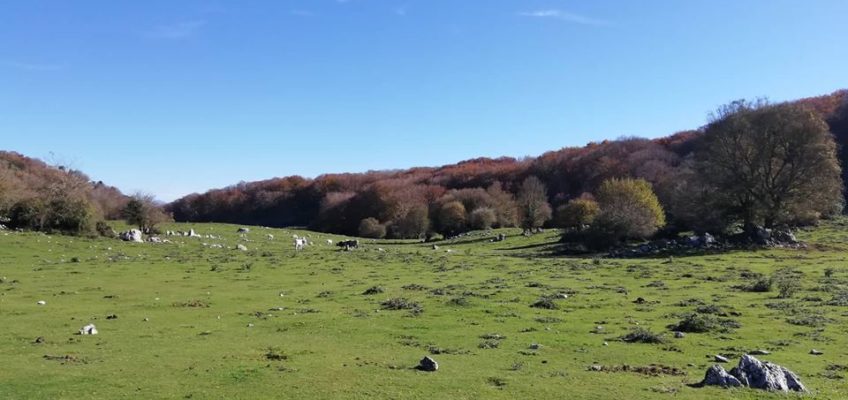 Parco Regionale dei Monti Lucretili, il Pratone di Monte Gennaro