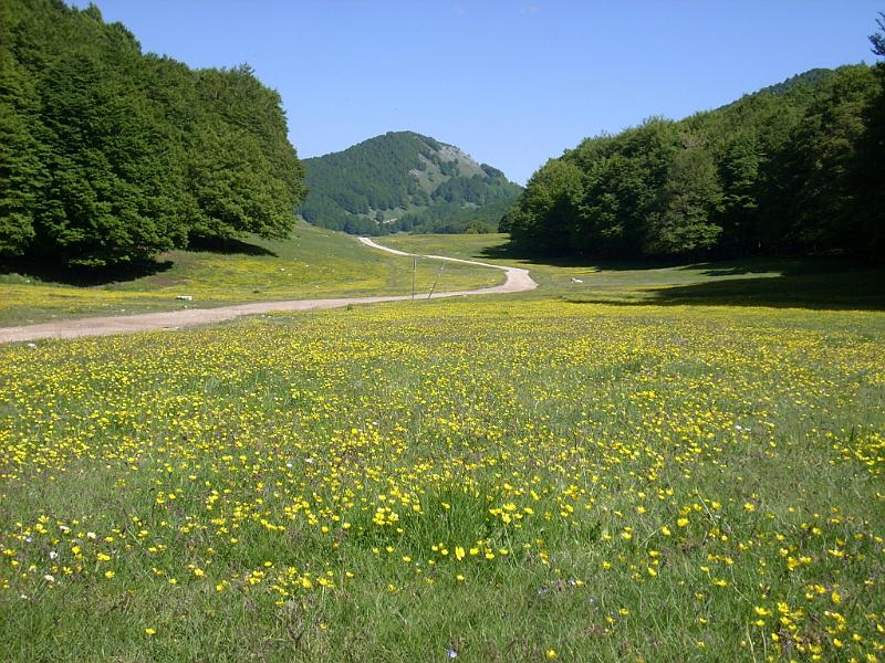 Domenica 9 giugno: camminata meditativa nel Parco Naturale Monti Simbruini