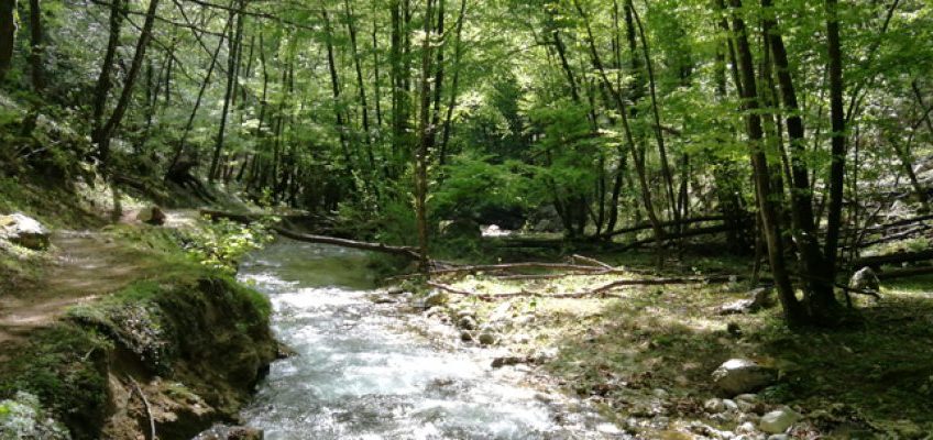 Monti Ernici: camminata meditativa nella Valle dei Santi e Certosa di Trisulti