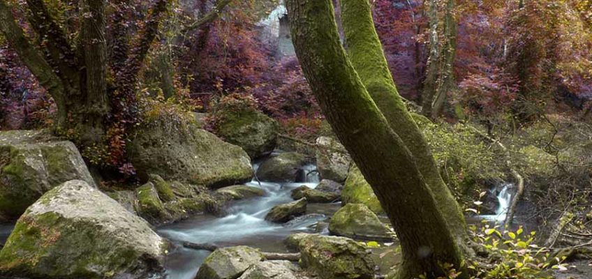 Parco Regionale Valle del Treja – da Mazzano Romano a Calcata