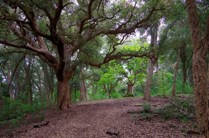 Domenica 2 febbraio: Riserva Naturale di Monte Catillo