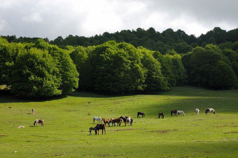 Parco Naturale dei Monti Simbruini