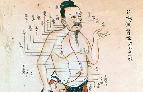 MEDICINA CLASSICA CINESE E SHIATSU: ARCHITETTURA SACRA DEI MERIDIANI