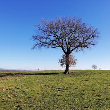 domenica 7 febbraio: cammino e pratiche di consapevolezza nel Parco Regionale di Veio