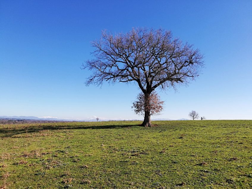 domenica 7 febbraio: cammino e pratiche di consapevolezza nel Parco Regionale di Veio