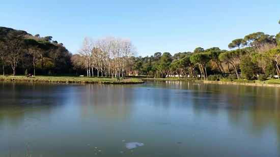 Domenica 20 febbraio: passi consapevoli sui SENTIERI DEL SACRO – Villa Ada