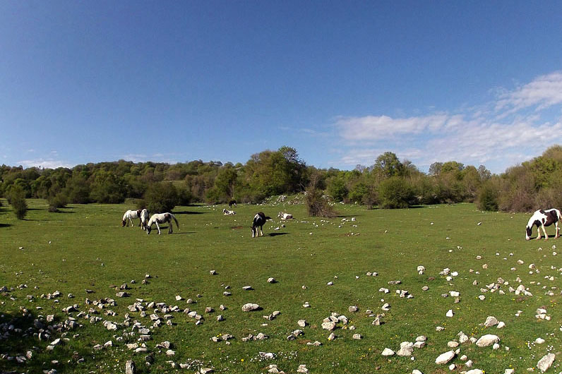 domenica 15 maggio – Parco dei Monti Simbruini: da Cervara a Prataglia