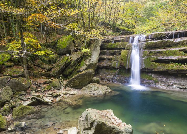 2-4 giugno – Parco Nazionale delle Foreste Casentinesi: Camaldoli e il Sentiero delle Foreste Sacre